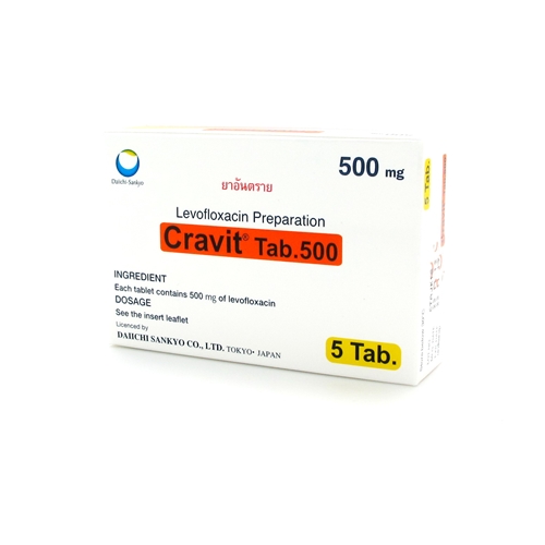 クラビット錠 500mg 5錠